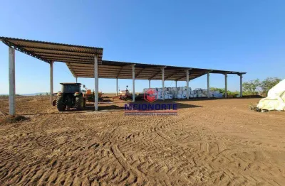 Fazenda com 1 dormitório à venda, 12390000 m² por r$ 24.780.000,00 - centro - matões/ma