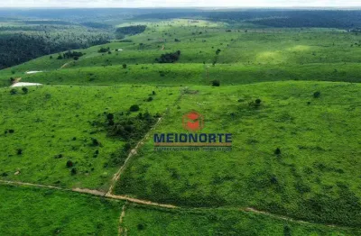 Fazenda com 4 dormitórios à venda, 4800000 m² por r$ 14.950.000,00 - terra bela - buriticupu/ma