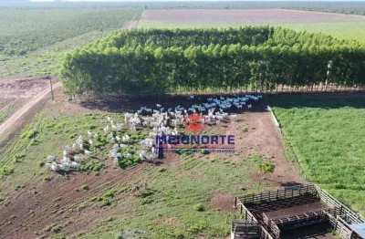 Fazenda com 1 sala à venda na Rua Caio Lustosa Alencar, 3, Centro, Santa Filomena