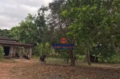 Chácara com 1 dormitório à venda, 30152 m² por r$ 1.200.000,00 - paraíso verde - são luís/ma