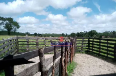 Fazenda à venda – 200 hectares em região estratégica