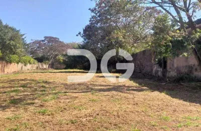 Terreno para alugar em campinas, chácara primavera, com 1768 m²