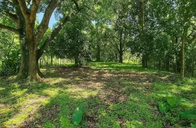 Terreno para venda em saquarema, serra de mato grosso (sampaio correia)