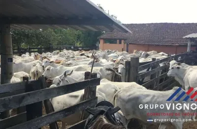 Fazenda para venda em araruama, monteiro (são vicente)