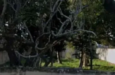 Terreno à venda na Rua Barão de Saquarema, 3577, Itaúna, Saquarema