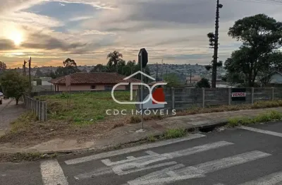 Terreno à venda na Rua Henrique Clock, 344, Orfãs, Ponta Grossa