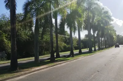 'exclusividade no alphaville litoral norte 2: lote de esquina pronto para seu sonho!'