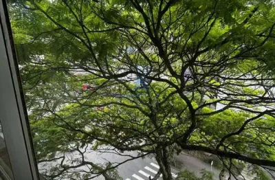 Apartamento na osmar cunha, 2 dormitórios, dependência de empregada, 1 vaga garagem