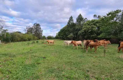 Excelente chácara a venda na cidade de triunfo rs  área rural