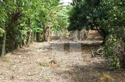 Terreno à venda, 1770 m² por r$ 550.000,00 - sousas - campinas/sp