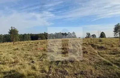 Sítio à venda, 798600 m² por r$ 7.200.000,00 - joaquim egídio - campinas/sp