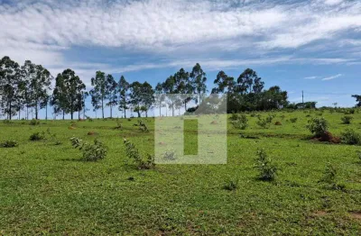 Chácara à venda 20.000m²  por r$ 503.000  no loteamento chácaras gargantilhas - campinas/sp