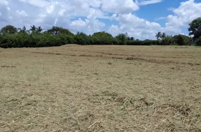 Terreno para Venda em Indaiatuba, COLINAS DO MOSTEIRO DE ITAICI