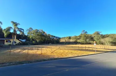 Terreno comercial à venda na Rua Maripá, 556, São Pedro, Juiz de Fora