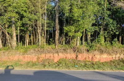 Chácara de frente para o asfalto, próximo a estrada da ribeira