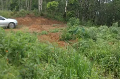 Chácara em campina grande do sul, 100 metros da br 116