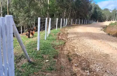 Chácara com 3 mil m²,cercada, com córrego,mina d'agua, bosque