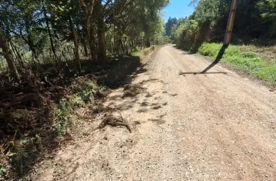 Chácara / sítio à venda na Rua Maximiniano Betinardi, 00, Roseira, Colombo
