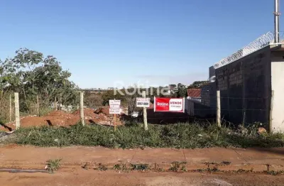 Terreno à venda, cidade jardim - uberlândia/mg - rotina imobiliária