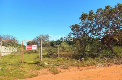 Terreno à venda, panorama - uberlândia/mg - rotina imobiliária
