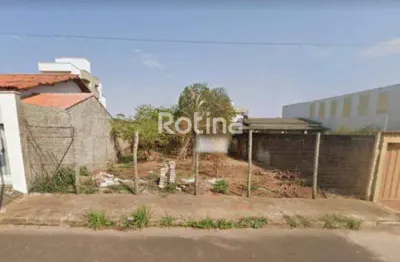 Terreno à venda, santa mônica - uberlândia/mg - rotina imobiliária