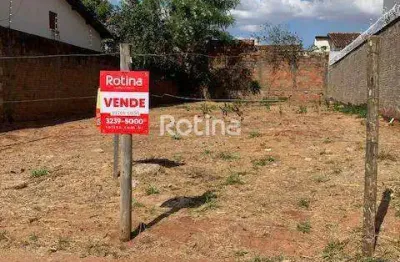 Terreno à venda, santa mônica - uberlândia/mg - rotina imobiliária