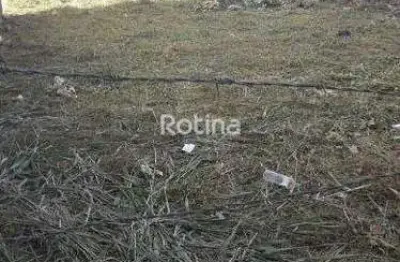 Terreno à venda, segismundo pereira - uberlândia/mg - rotina imobiliária