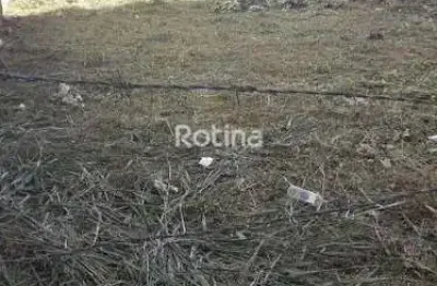 Terreno à venda, segismundo pereira - uberlândia/mg - rotina imobiliária