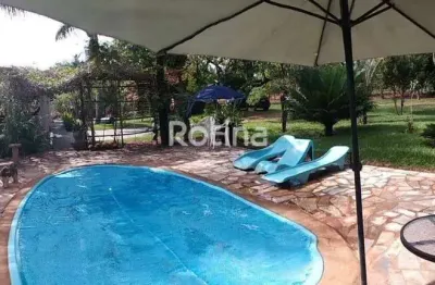 Chacara à venda, 3 quartos, jockey camping - uberlândia/mg - rotina imobiliária