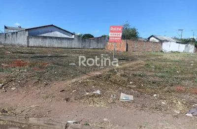 Terreno à venda, jardim patrícia - uberlândia/mg - rotina imobiliária