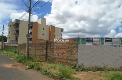 Área à venda, brasil - uberlândia/mg - rotina imobiliária