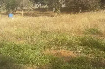 Terreno à venda, morada nova - uberlândia/mg - rotina imobiliária