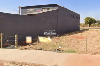 Terreno à venda, segismundo pereira - uberlândia/mg - rotina imobiliária