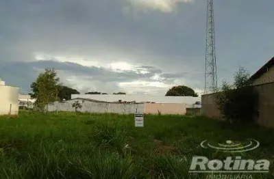 Terreno à venda, segismundo pereira - uberlândia/mg - rotina imobiliária