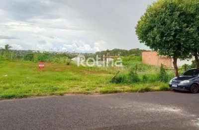 Terreno à venda, tibery - uberlândia/mg - rotina imobiliária