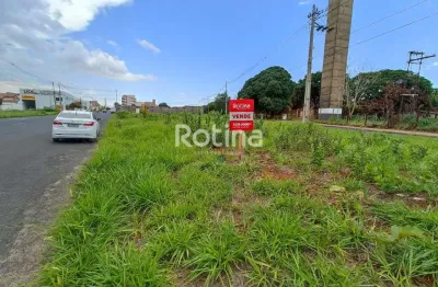 Área à venda, alto umuarama - uberlândia/mg - rotina imobiliária