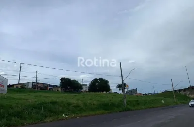 Área à venda, jardim brasília - uberlândia/mg - rotina imobiliária