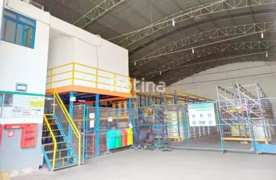 Galpão à venda, custódio pereira - uberlândia/mg - rotina imobiliária