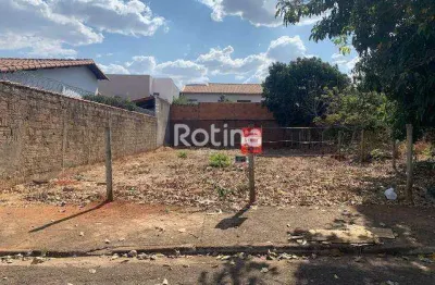 Terreno à venda, segismundo pereira - uberlândia/mg - rotina imobiliária