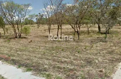 Terreno à venda, jardim karaíba - uberlândia/mg - rotina imobiliária