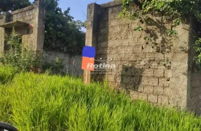 Terreno à venda, jardim karaíba - uberlândia/mg - rotina imobiliária