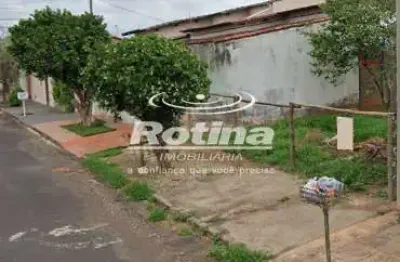Terreno à venda, cidade jardim - uberlândia/mg - rotina imobiliária