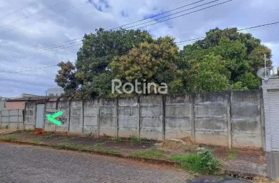 Terreno à venda, tubalina - uberlândia/mg - rotina imobiliária