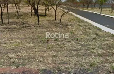 Terreno à venda, jardim karaíba - uberlândia/mg - rotina imobiliária