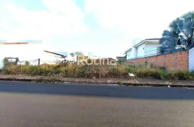 Área à venda, minas gerais - uberlândia/mg - rotina imobiliária