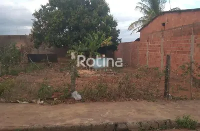 Terreno à venda, são jorge - uberlândia/mg - rotina imobiliária