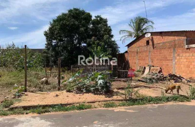Terreno à venda, são jorge - uberlândia/mg - rotina imobiliária