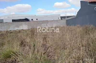 Terreno à venda na Rua Oswaldo França Junior, --, Novo Mundo, Uberlândia