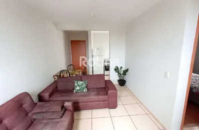 Apartamento à venda, 2 quartos, presidente roosevelt - uberlândia/mg - rotina imobiliária