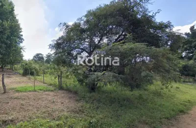 Terreno à venda, morada nova - uberlândia/mg - rotina imobiliária